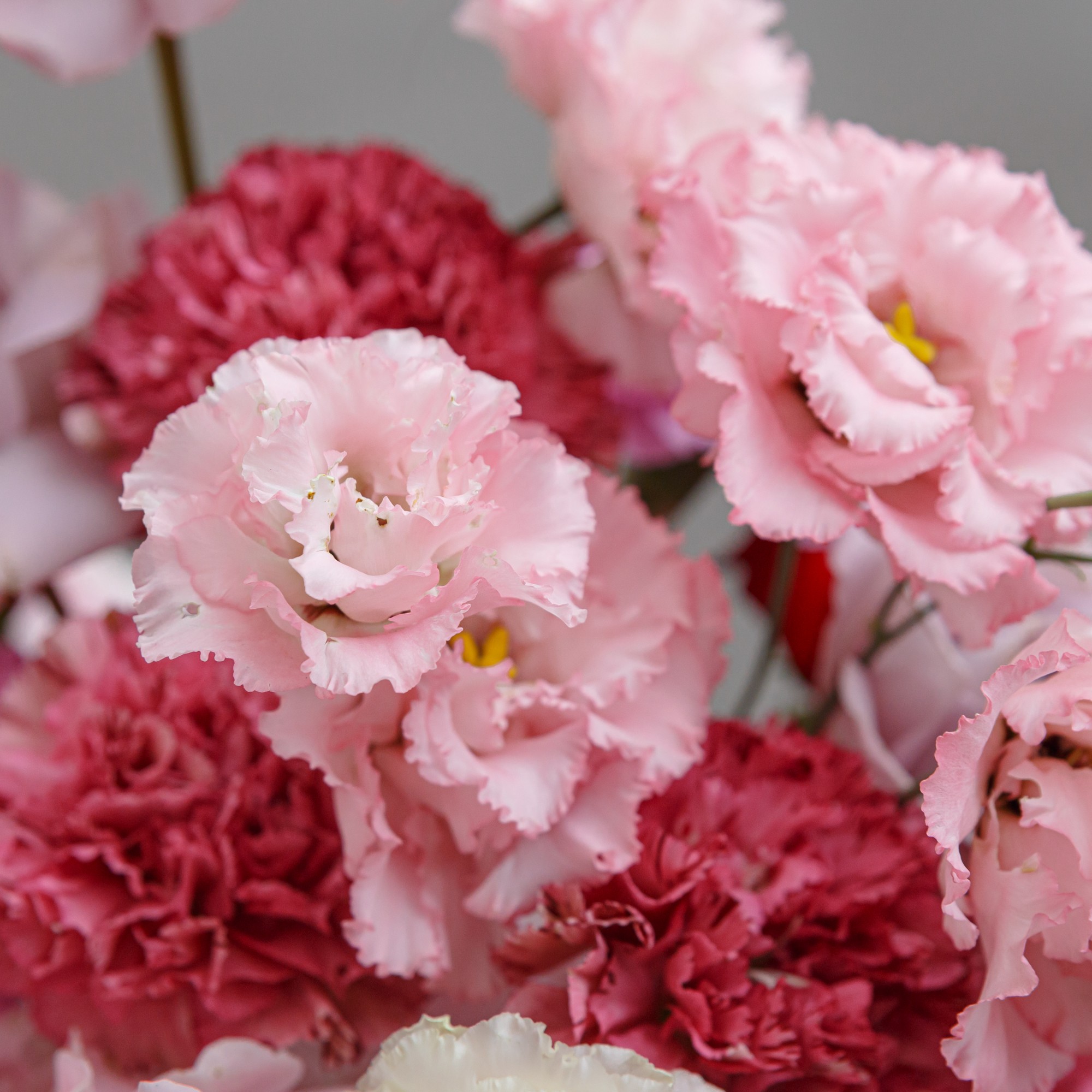 Aranjament cu Hortensii și Trandafiri în Cutie