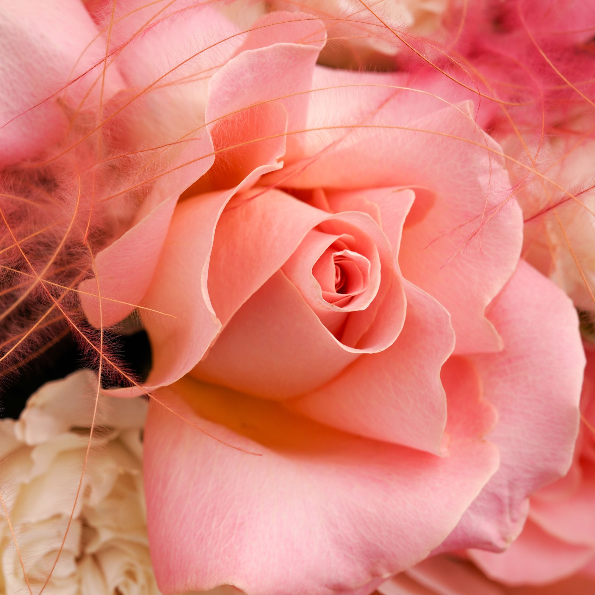 Buchet cu 19 Trandafiri 'Îmbrățișare Roz'