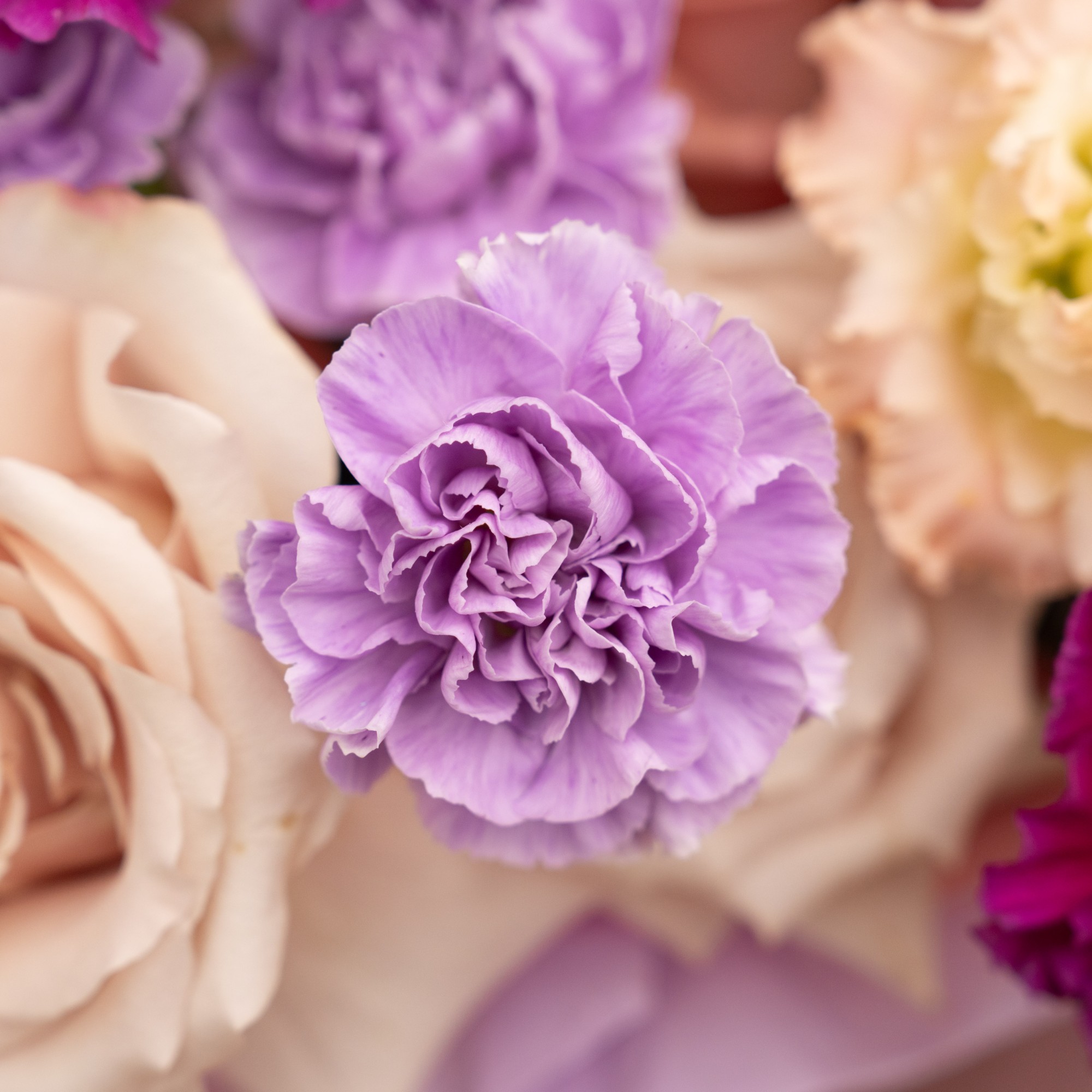 Aranjament Floral Rapsodie De Catifea