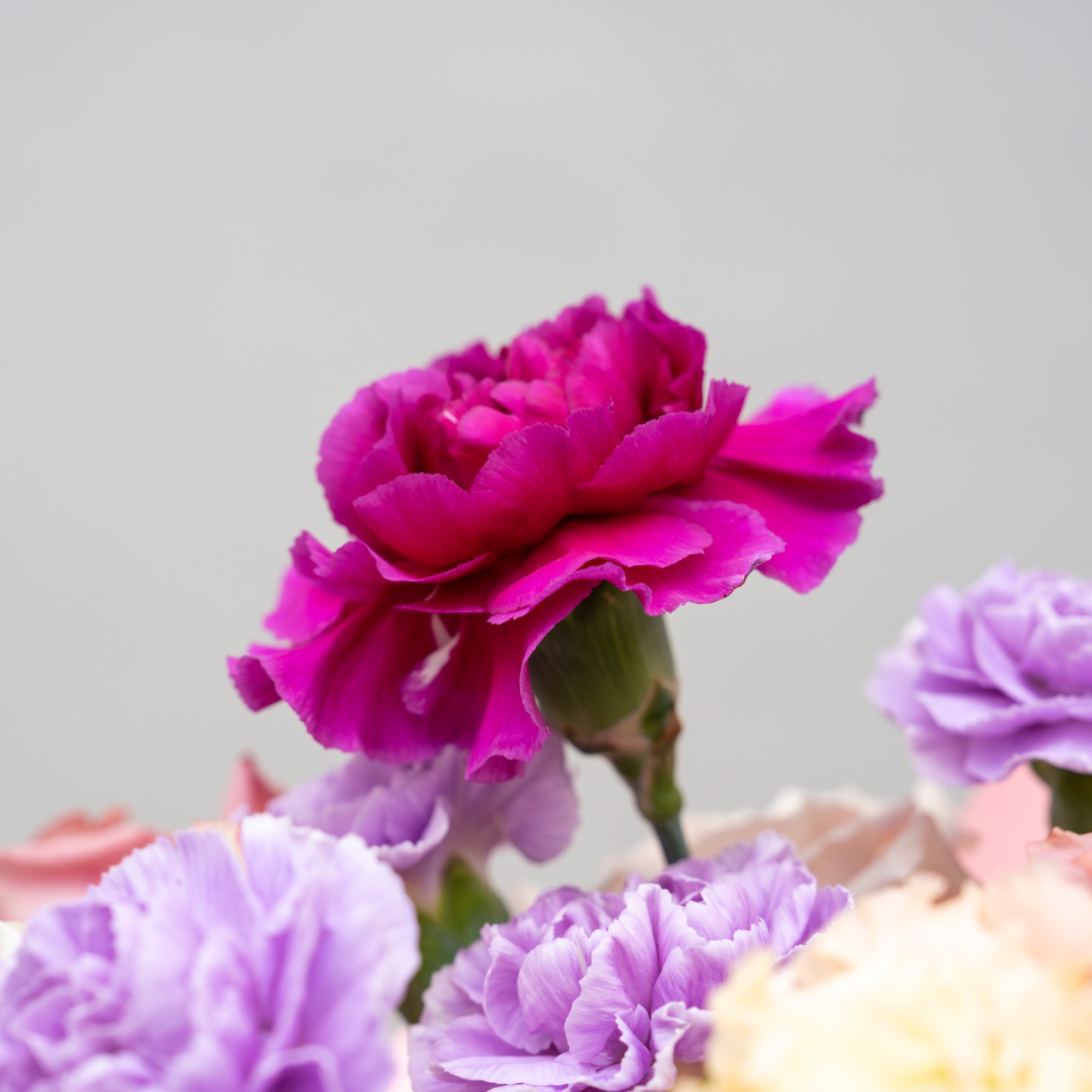 Aranjament Floral Rapsodie De Catifea