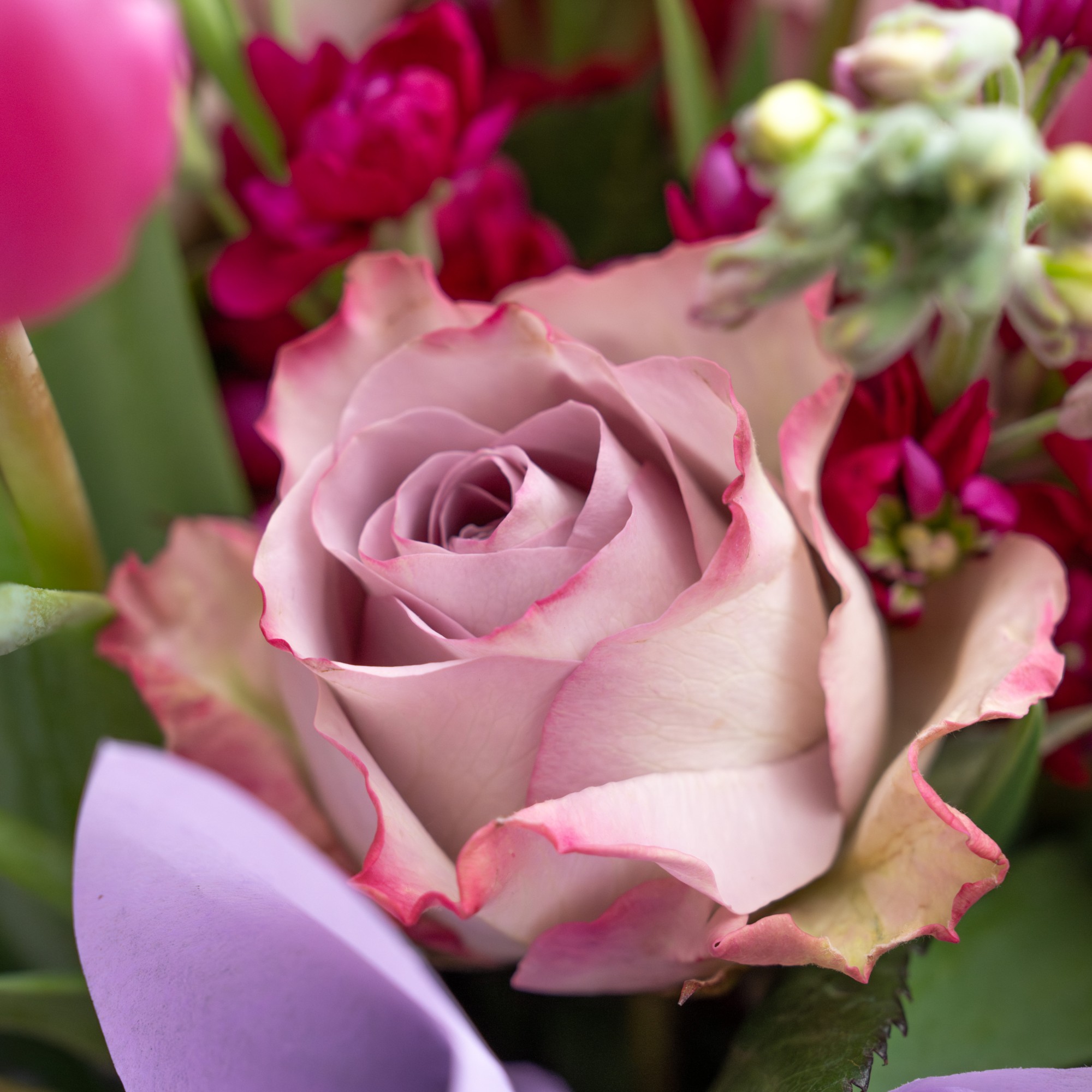 Buchet cu Lalele Roz Gradina Parfumata