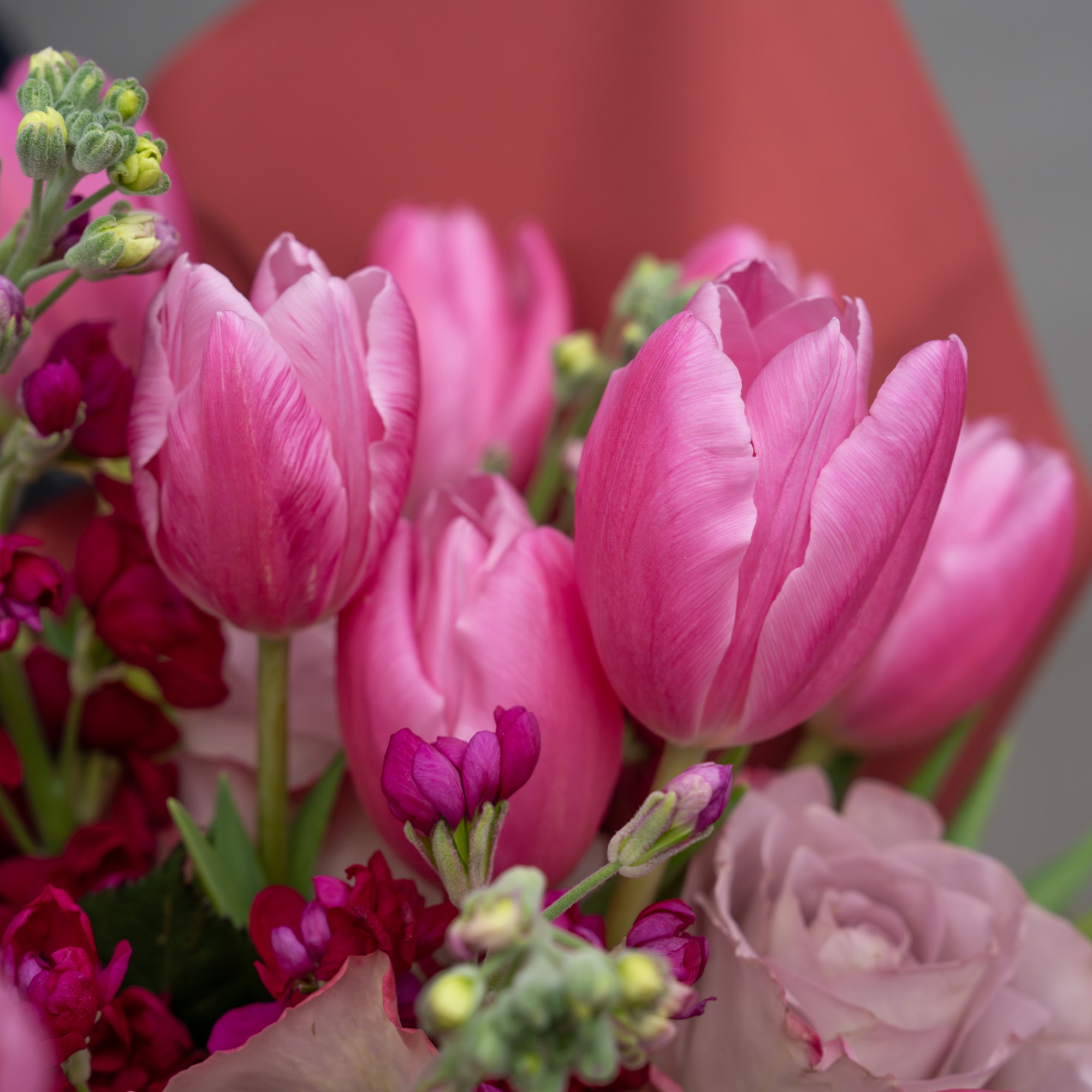 Buchet cu Lalele Roz Gradina Parfumata